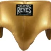 Cleto Reyes Kidney And Foul Protection Groin Cup Gold