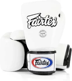 Fairtex BGV1 Muay Thai Boxing Training Sparring Gloves White