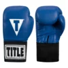 TITLE USA Boxing Competition Gloves - Elastic